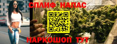 гашишное масло Ачхой-Мартан